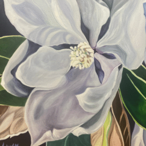 Magnolia 2