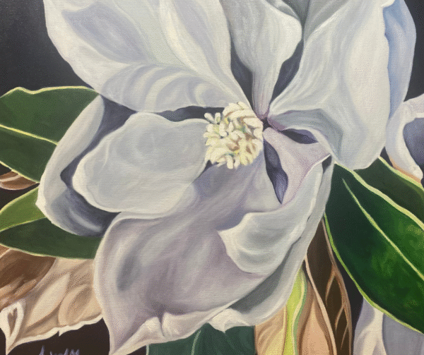 Magnolia 2