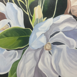 Magnolia Study