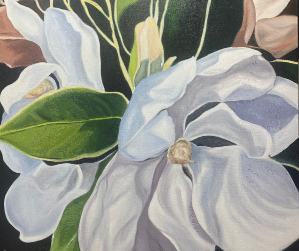 Magnolia Study