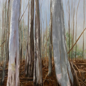"A Planting – Warrawong Wildlife Sanctuary"