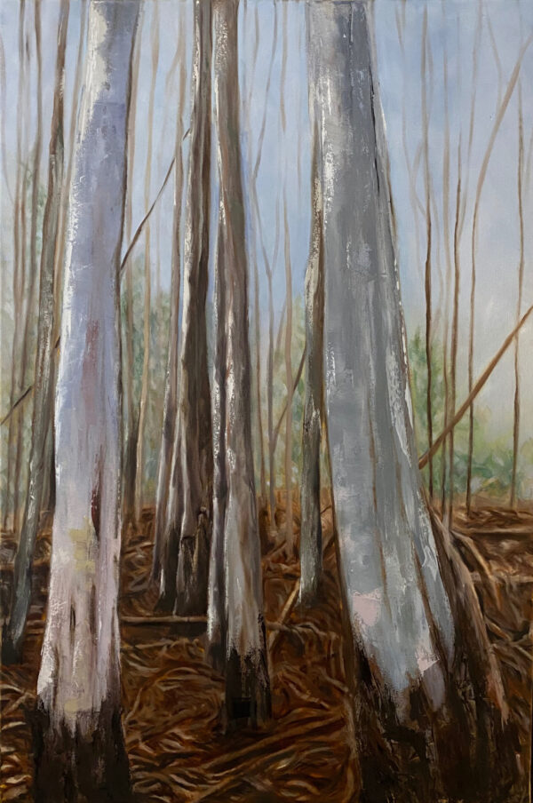 "A Planting – Warrawong Wildlife Sanctuary"