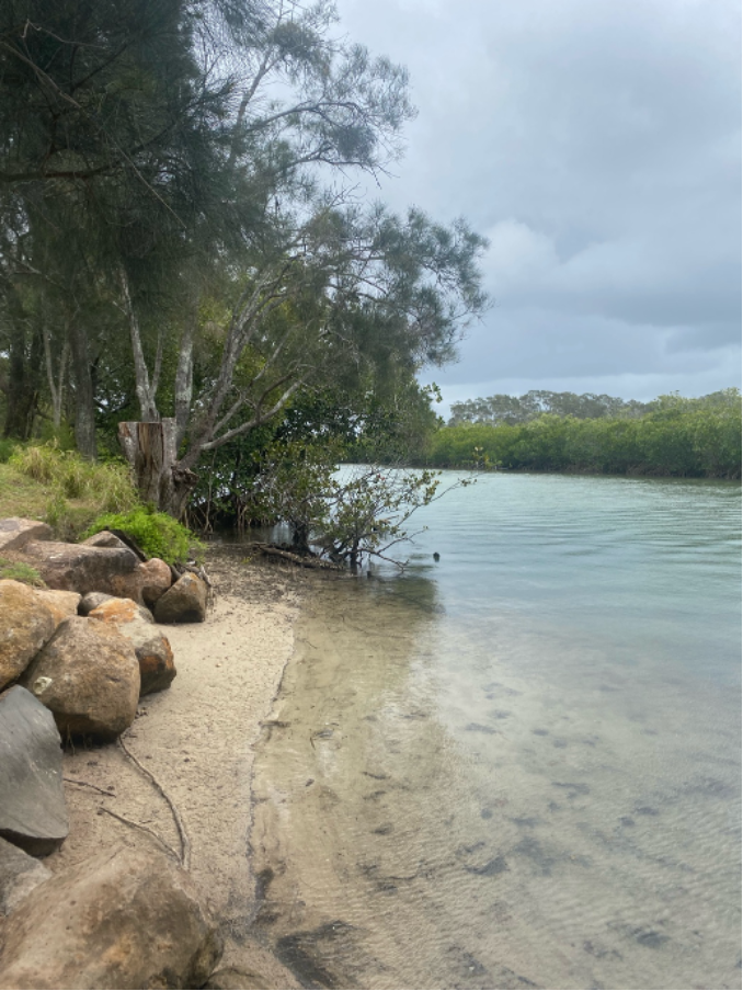 A body of water with rocks and trees