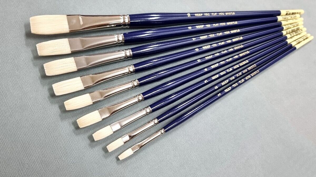 Neef Flat Hoghair long Handle brushes